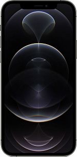 Apple iPhone 12 Pro Max 256GB (графитовый)